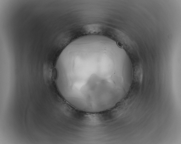 X0000111820417200908201134