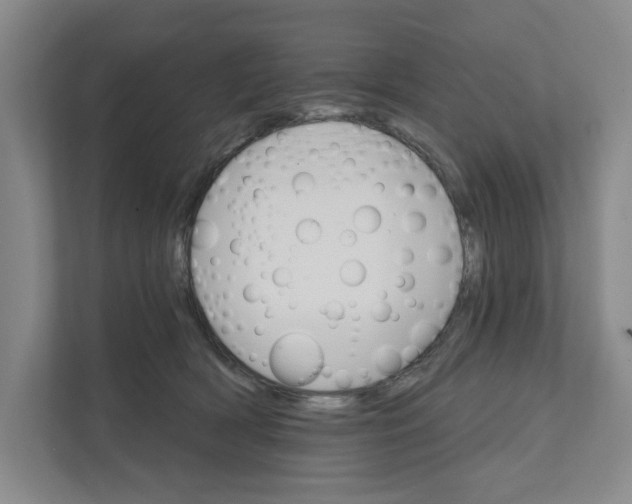 X0000111820418200908201134