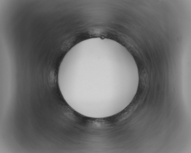 X0000111820420200908201134