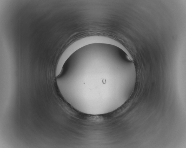 X0000111820421200908201134