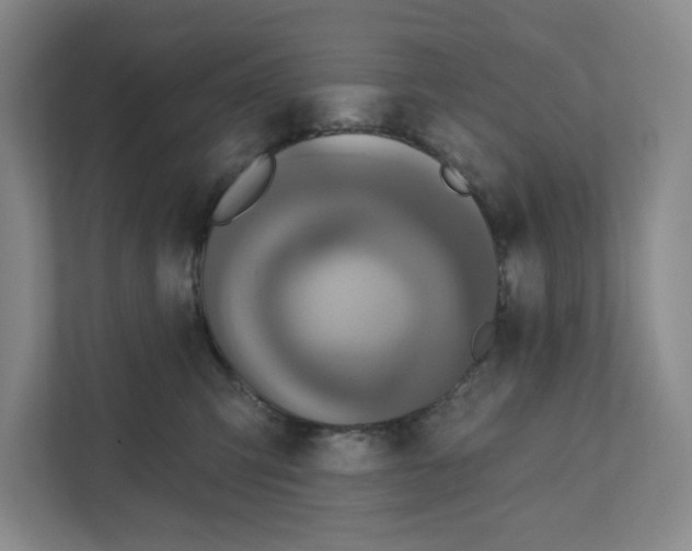 X0000111820423200908201134