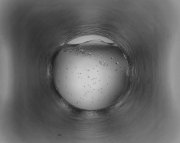 X0000111820424200908201134