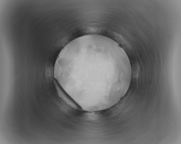 X0000111820425200908201134