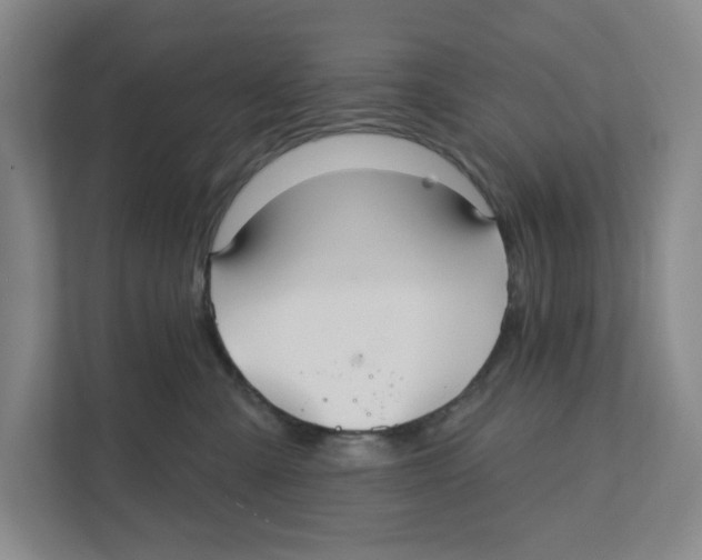 X0000111820427200908201134
