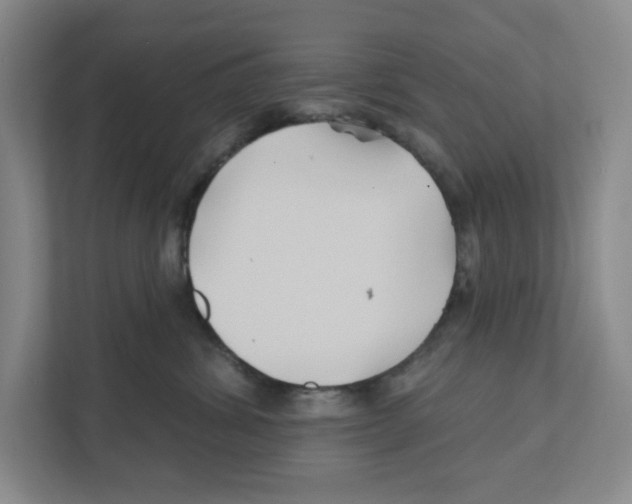 X0000111820428200908201134