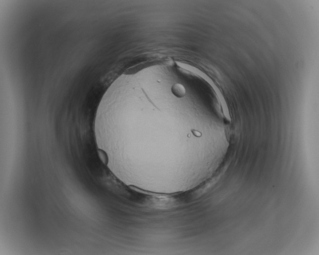 X0000111820429200908201134