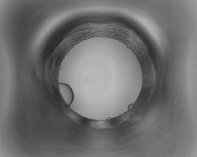 X0000111820431200908201134