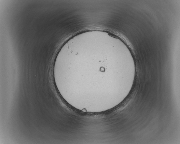 X0000111820433200908201134