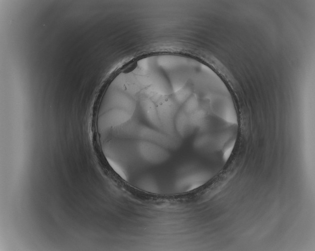 X0000111820434200908201134