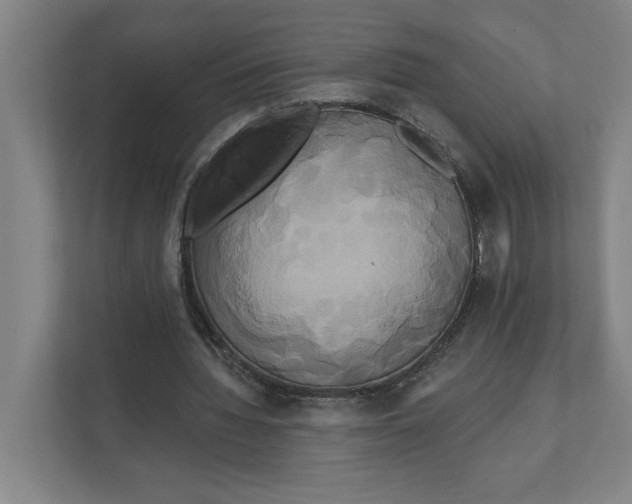 X0000111820436200908201134