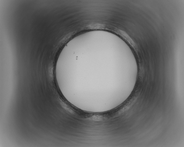 X0000111820441200908201134