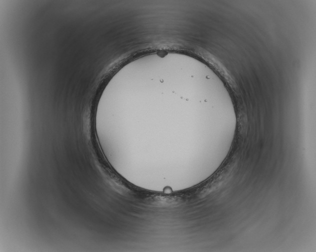 X0000111820442200908201134