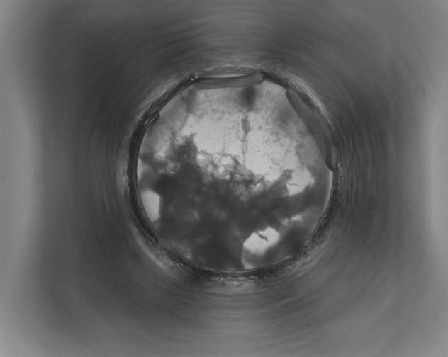 X0000111820443200908201134