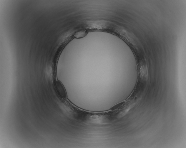 X0000111820444200908201134