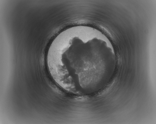 X0000111820447200908201134