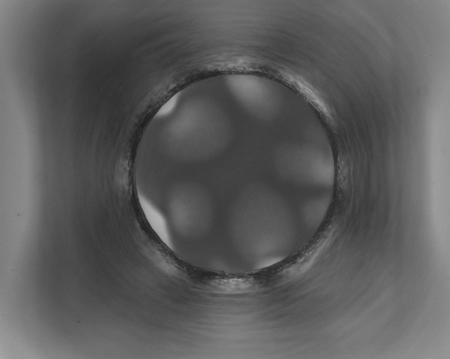 X0000111820449200908201134