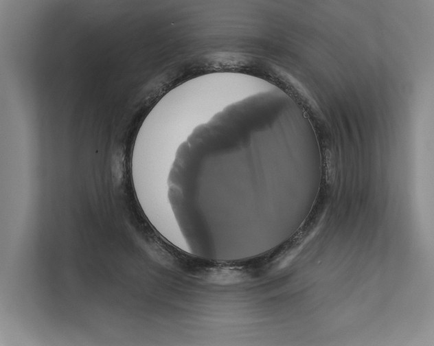 X0000111820451200908201134