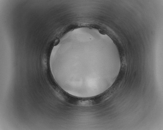 X0000111820452200908201134