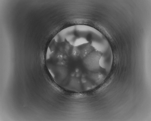 X0000111820453200908201134
