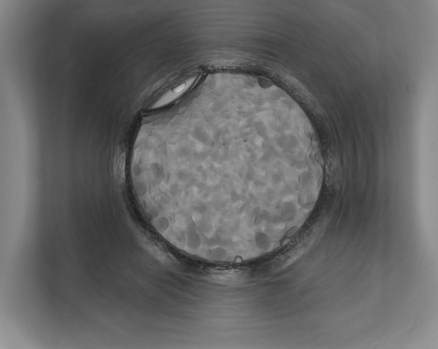 X0000111820454200908201134