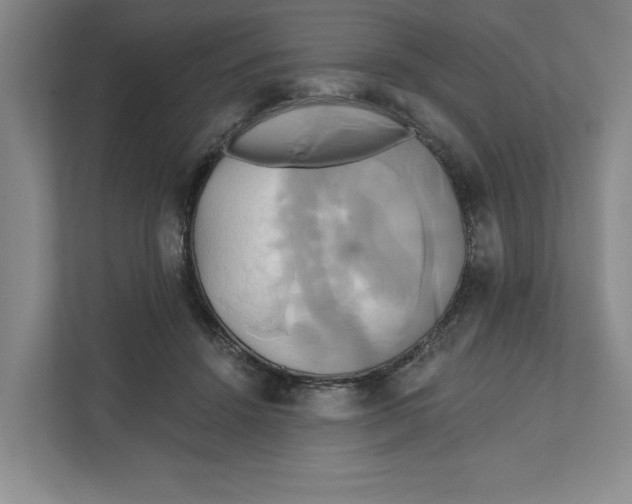 X0000111820456200908201134