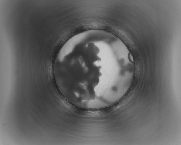 X0000111820457200908201134