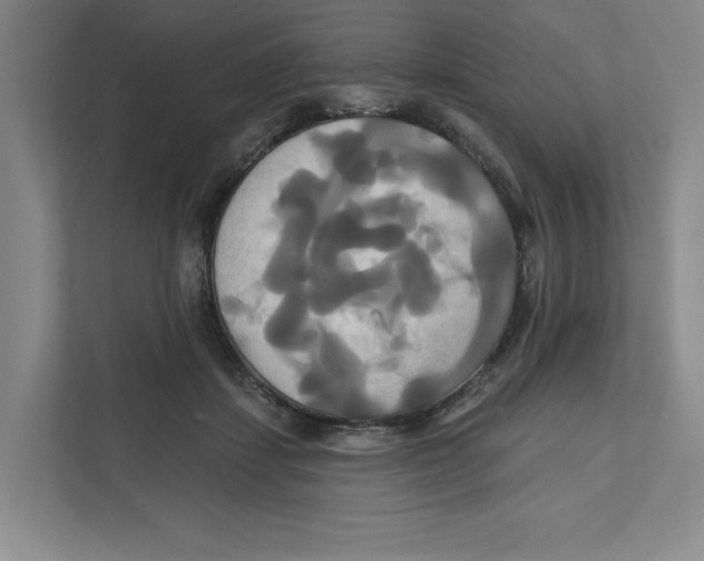 X0000111820459200908201134