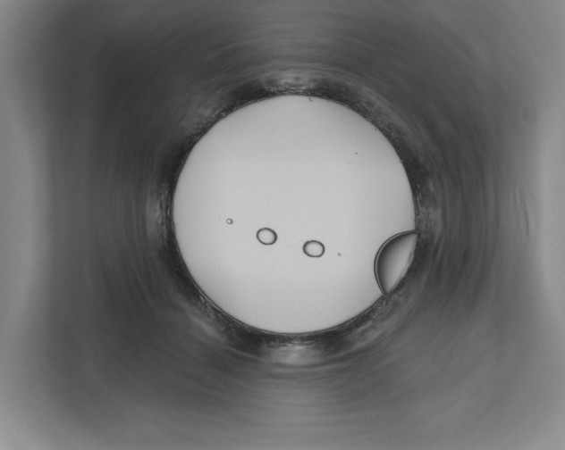 X0000111820460200908201134