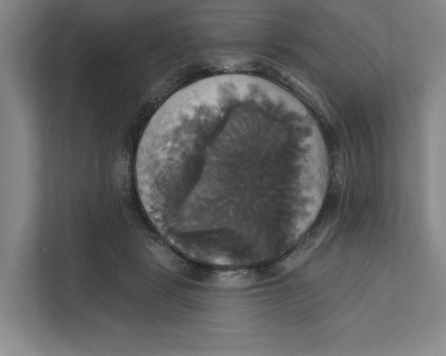 X0000111820461200908201134
