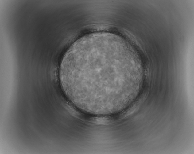 X0000111820462200908201134