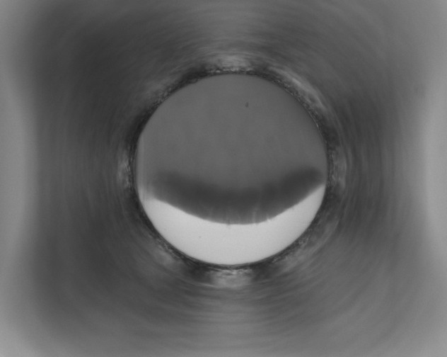 X0000111820465200908201134