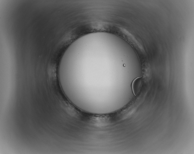 X0000111820466200908201134