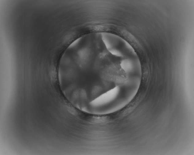 X0000111820469200908201134
