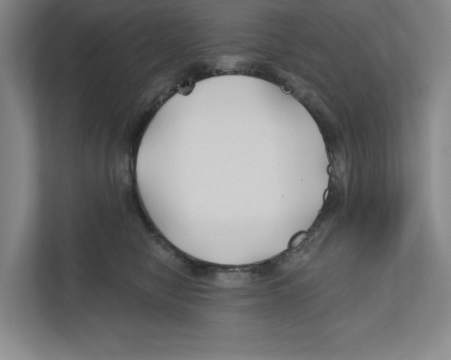 X0000111820470200908201134