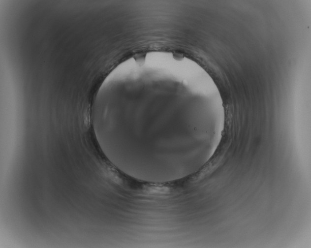 X0000111820471200908201134