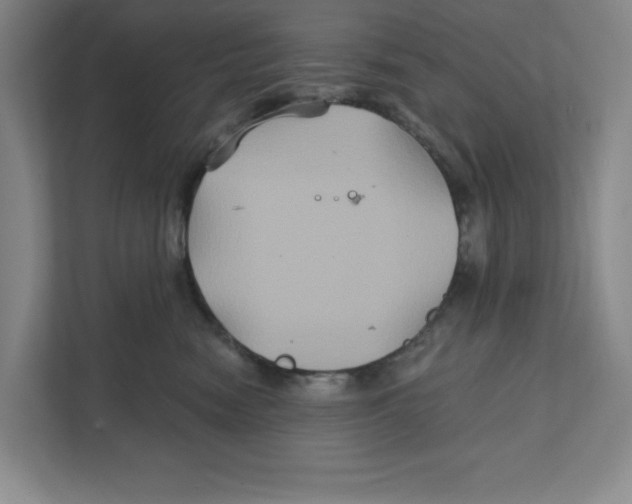 X0000111820474200908201134