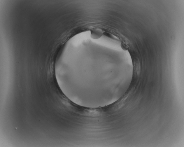 X0000111820475200908201134