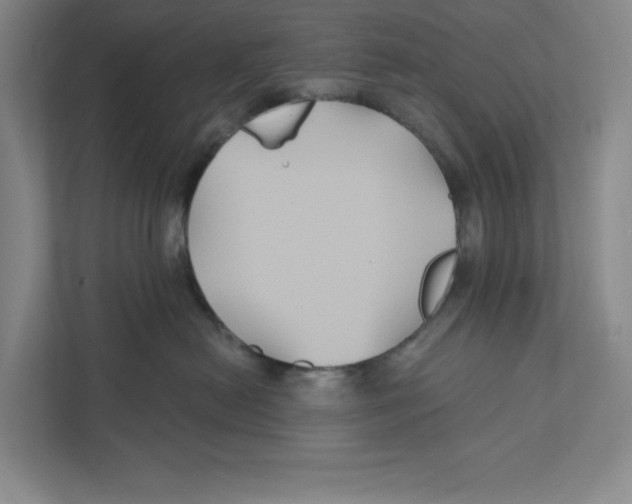 X0000111820478200908201134