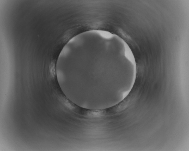X0000111820479200908201134