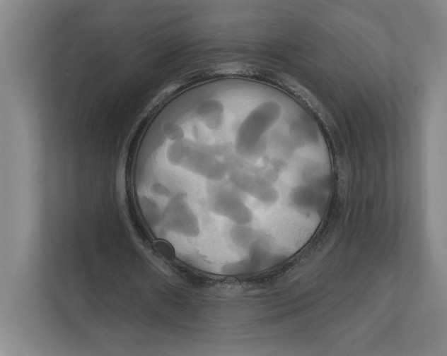 X0000111820482200908201134