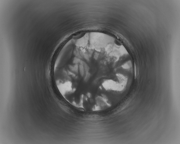 X0000111820483200908201134