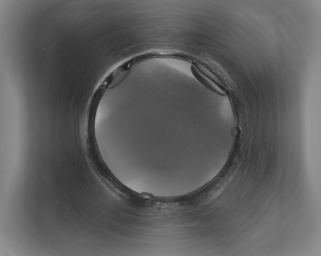 X0000111820484200908201134