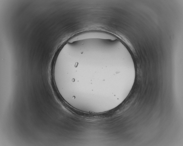 X0000111820485200908201134
