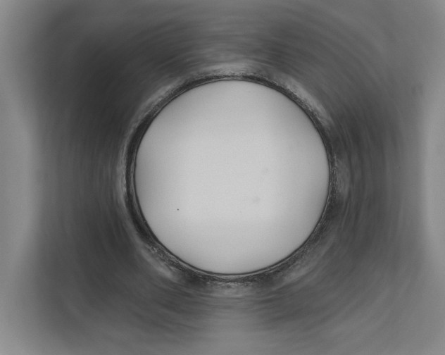 X0000111820486200908201134