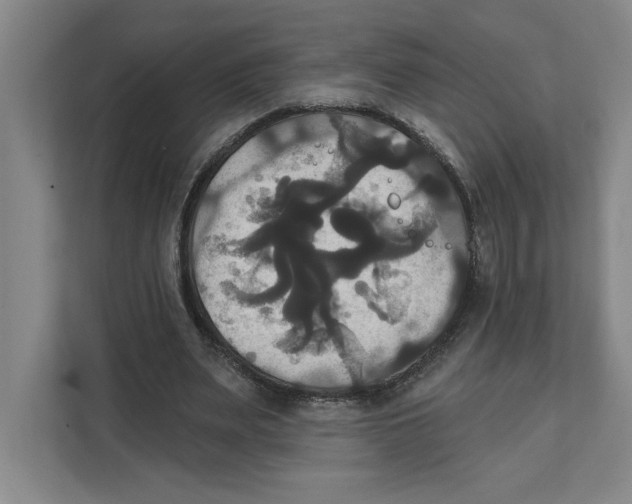 X0000111820487200908201134