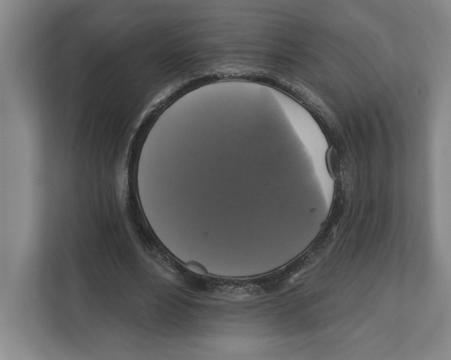 X0000111820488200908201134