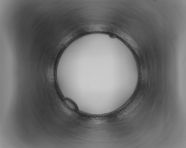 X0000111820489200908201134
