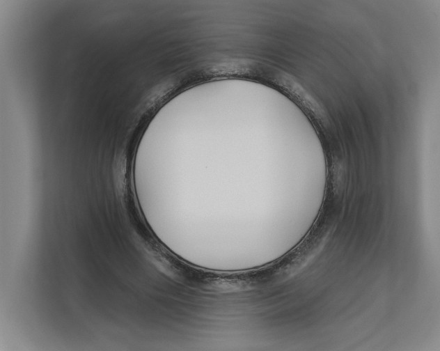 X0000111820490200908201134