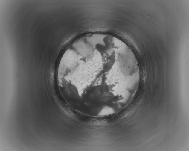X0000111820491200908201133