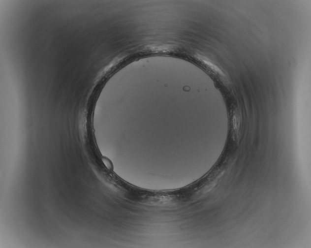 X0000111820492200908201133